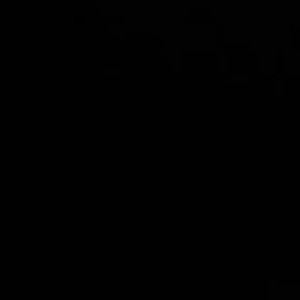 Meet your Posher, Alejandra abigail